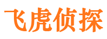 正定外遇出轨调查取证